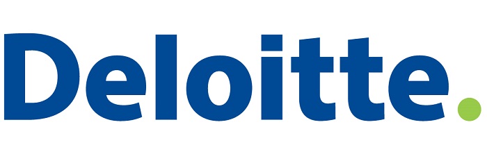 You are currently viewing Deloitte Consulting Externship