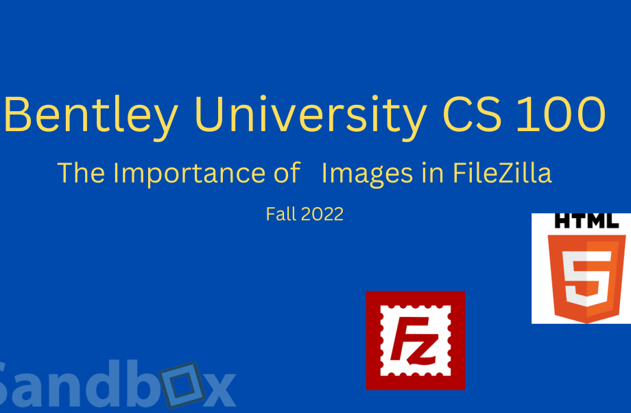 You are currently viewing Fall 2022 CS 100 Sandbox HTML/FileZilla help